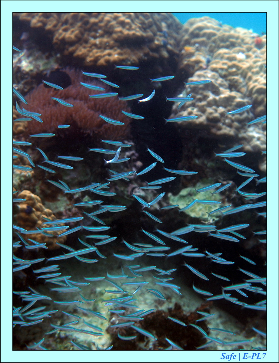 2016 - 07 - Leng Tengah - 024